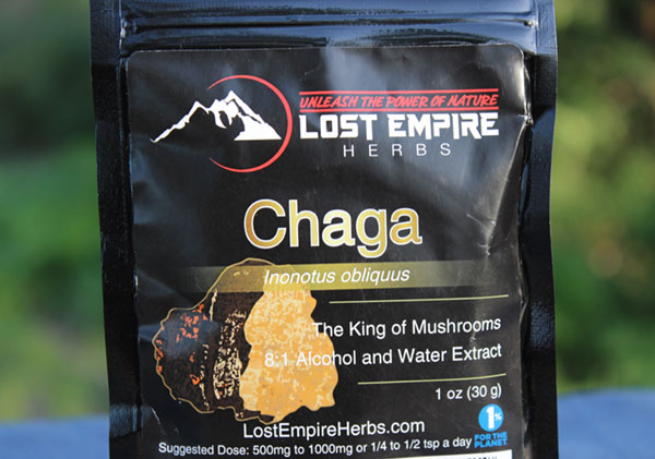 chaga-mushroom-extract-lost-empire-herbs chaga-mushroom-extract-lost-empire-herbs