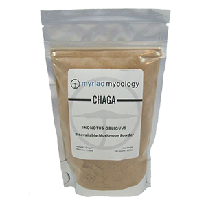 chaga-myriad-mycology
