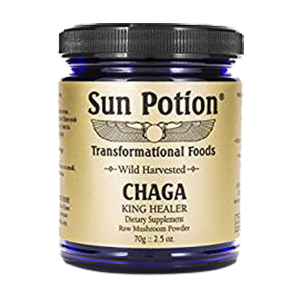 Chaga Mushroom Benefits as an Immune Supporting Superfood
