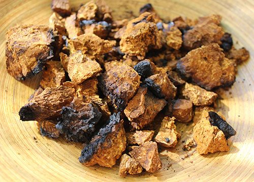 chaga-tea-dried-mushroom chaga-tea-dried-mushroom