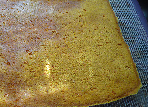 cheez-it-crackers-raw-dehydrated cheez-it-crackers-raw-dehydrated