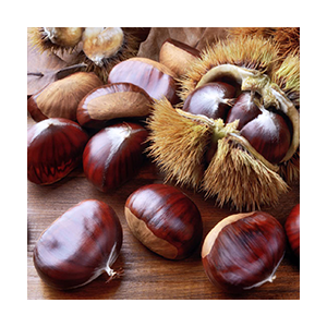 chestnuts-in-shell-italy
