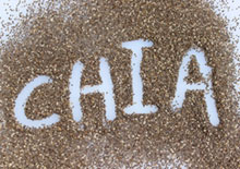 chia-seeds-benefits-related-pages