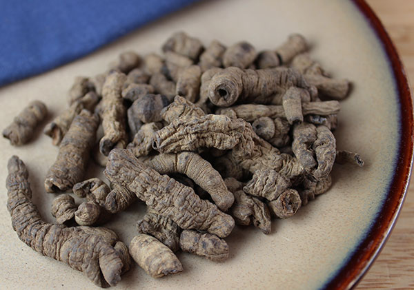 chinese-herbs-morinda-root