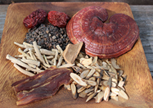 chinese-herbs-related-pages