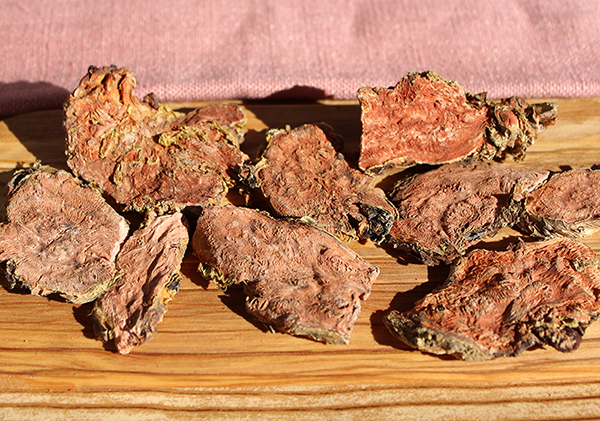 chinese-herbal-tea-rhodiola