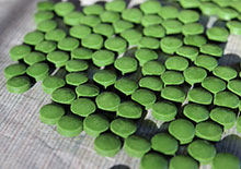 chlorella-page