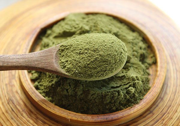 chlorophyll-moringa-powder chlorophyll-moringa-powder