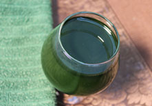 chlorophyll-related-pages