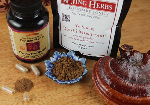 chocolate-cake-recipe-using-reishi-mushroom