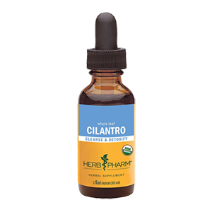 cilantro-extract-herb-pharm