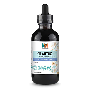 cilantro-extract-maui