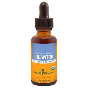 cilantro-herb-pharm