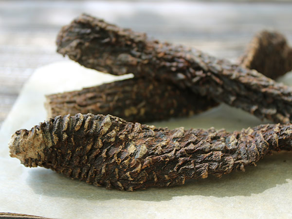 cistanche-erva-caules cistanche-erva-caules