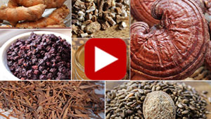 cleansing-herbs-vid