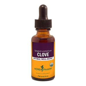 clove-tincture-herb