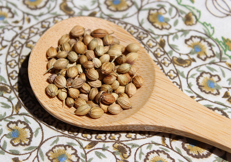 10 Ancient Uses of Coriander Seeds
