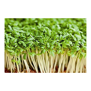 cress-seeds-country