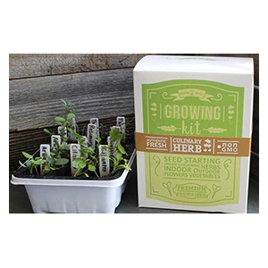 culinary-herbs-seeds-true-leaf