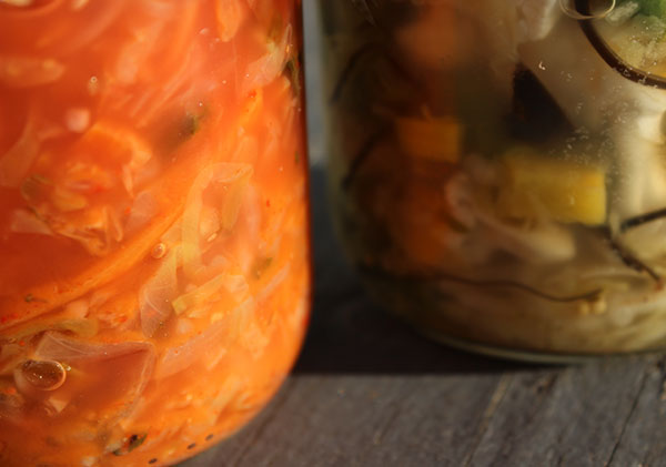 cultured-vegetables-lactic-acid-fermentation cultured-vegetables-lactic-acid-fermentation