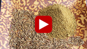 cumin-seeds-vid