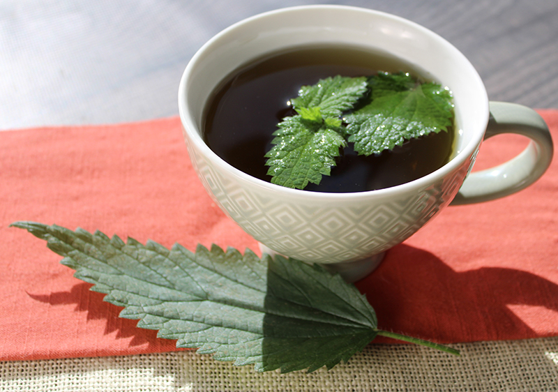 cup-os-stinging-nettle-tea cup-os-stinging-nettle-tea