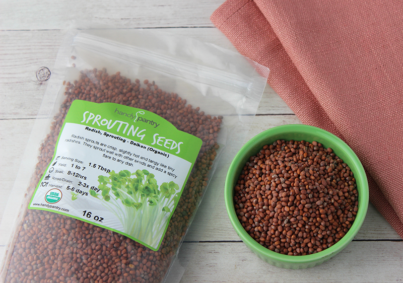 daikon-sprouting-seeds daikon-sprouting-seeds