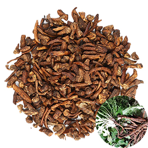 dandelion-root-bulk