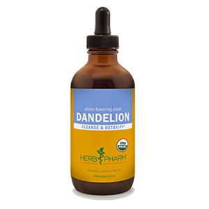 dandelion-root-herbpharm