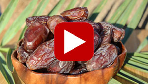 date-fruit-thumbnail