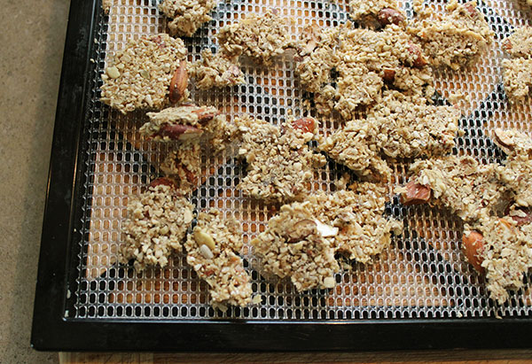 dehydrated-coconut-granola dehydrated-coconut-granola