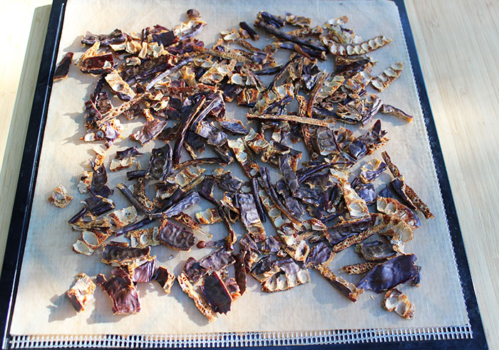 dehydrating-carob-pod-pieces