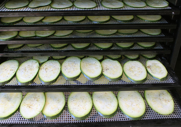 dehydrating-squash-chips