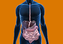 digestion-related-pages