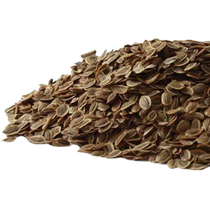 dill-seed-pickling-mrh