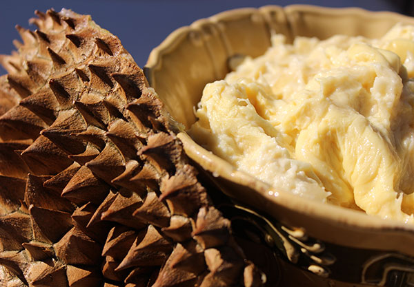 durian-benefits durian-benefits