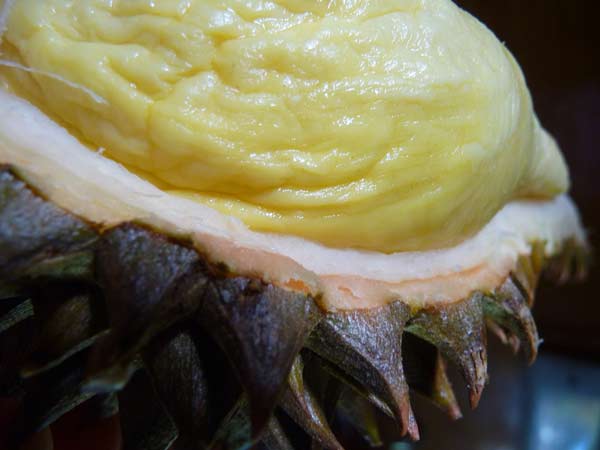 durian-fruit-nutrition durian-fruit-nutrition