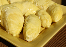 durian-fruit-related-page