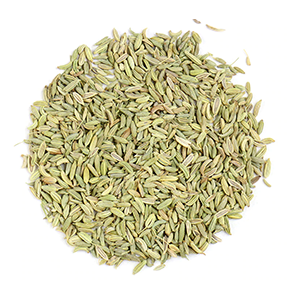 fennel-seeds-mrh