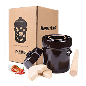 fermenation-crock-seeutek