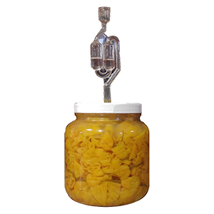 sauerkraut-tools-jar-fermenter-amazon