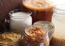 fermented-foods-page