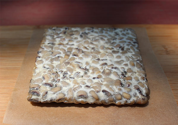 alimentos fermentados bolo tempeh alimentos fermentados bolo tempeh