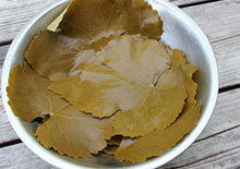 fermented-grape-leaves-recipe-related-page