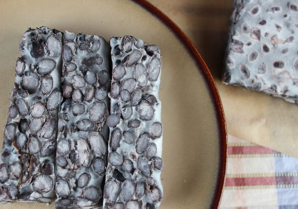 fermenting-tempeh fermenting-tempeh