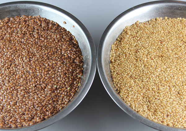 flaxseed-crackers-soaking-flax