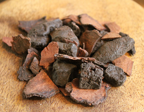 fo-ti-root-pieces fo-ti-root-pieces