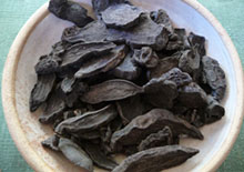 fo-ti-root-related-pages