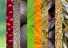 food-for-healthy-skin-related-pages