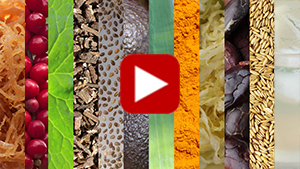 foods-for-healthy-skin-vid